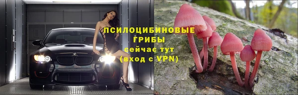 стафф Белокуриха
