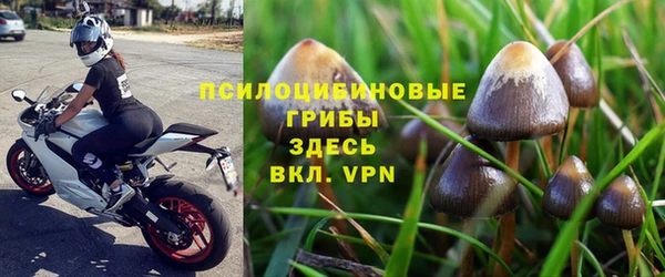 стафф Белокуриха